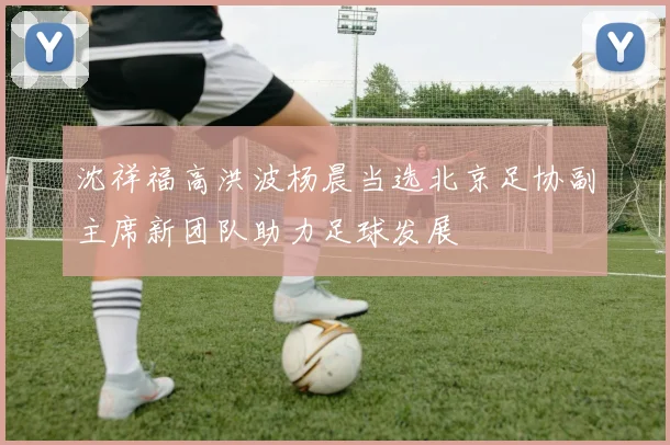 沈祥福高洪波杨晨当选北京足协副主席新团队助力足球发展