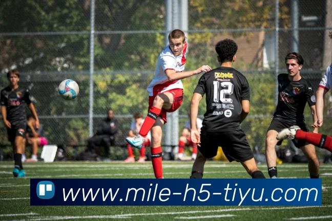 App Interface Preview