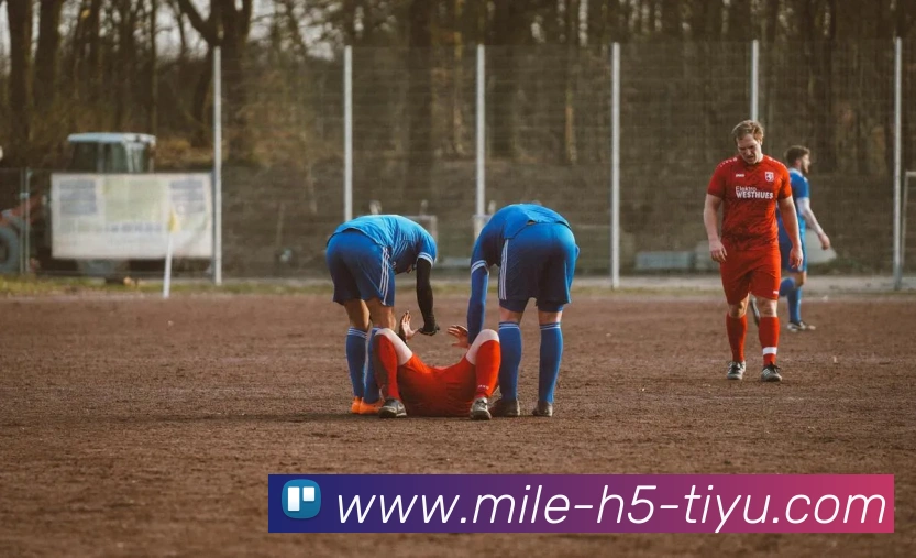 米乐体育APP 封面图